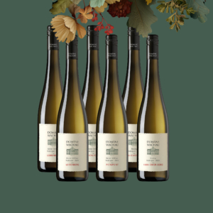 Rieden-Genuss-Paket </br> 6 Flaschen