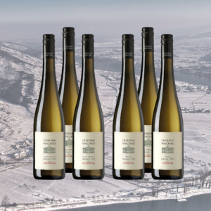 Von den kühlen Lagen </br> 6 Flaschen