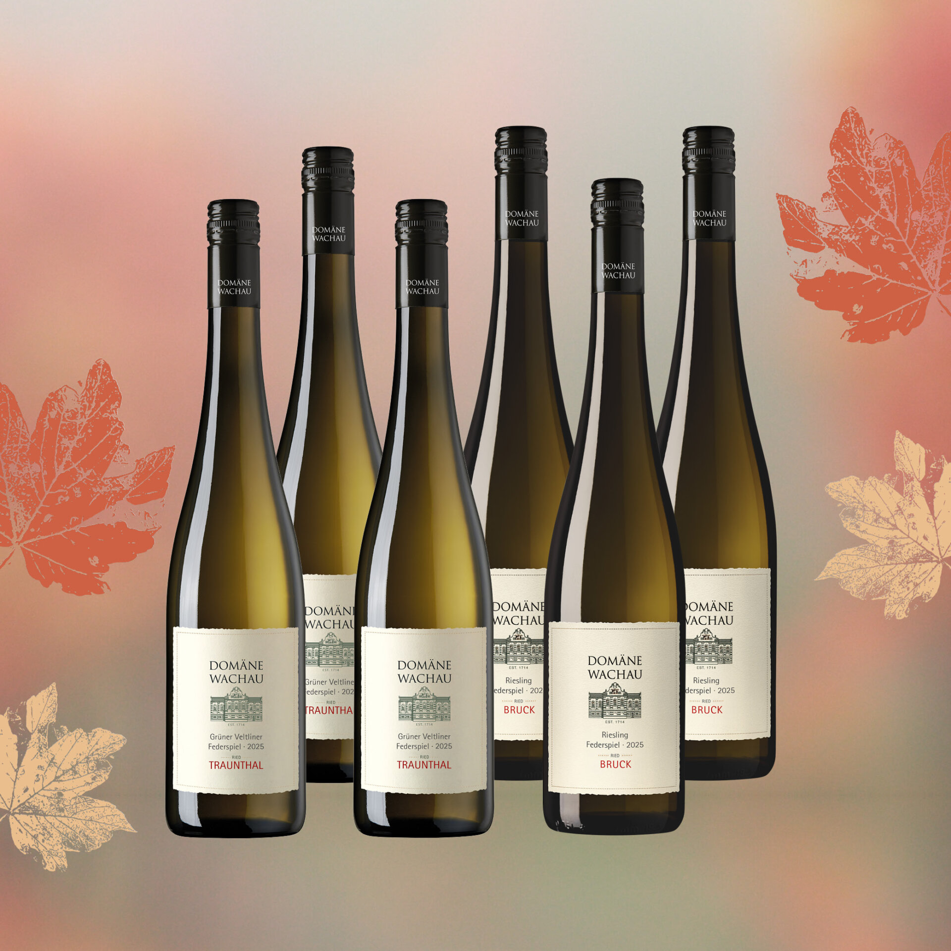 2026-22 Herbst-22